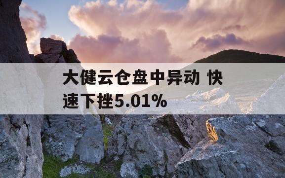 大健云仓盘中异动 快速下挫5.01%