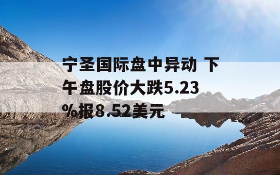 宁圣国际盘中异动 下午盘股价大跌5.23%报8.52美元